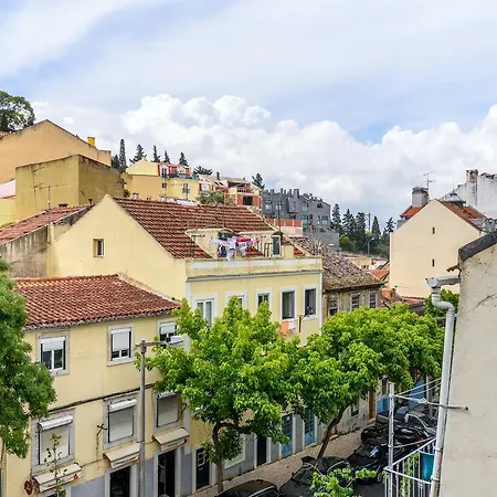 Whome | Campo De Ourique Premium *